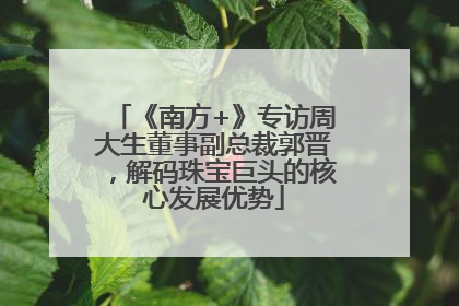 《南方+》专访周大生董事副总裁郭晋，解码珠宝巨头的核心发展优势