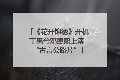 《花开锦绣》开机 丁禹兮邓恩熙上演“古言公路片”