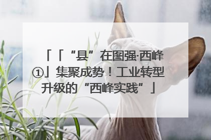 「“县”在图强·西峰①」集聚成势！工业转型升级的“西峰实践”