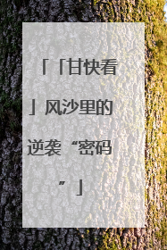 「甘快看」风沙里的逆袭“密码”