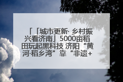 「城市更新· 乡村振兴看济南」5000亩稻田玩起黑科技 济阳“黄河·稻乡湾”靠“非遗+露营”火出圈