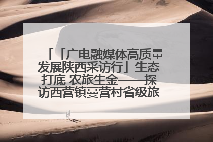 「广电融媒体高质量发展陕西采访行」生态打底 农旅生金——探访西营镇蔓营村省级旅游示范村的振兴密码