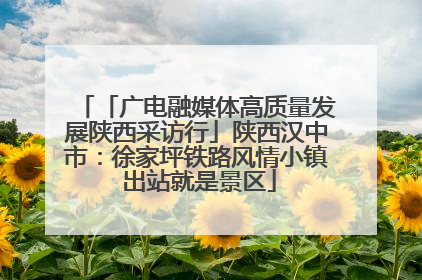 「广电融媒体高质量发展陕西采访行」陕西汉中市：徐家坪铁路风情小镇 出站就是景区
