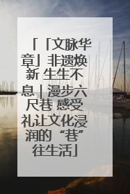 「文脉华章」非遗焕新 生生不息｜漫步六尺巷 感受礼让文化浸润的“巷”往生活