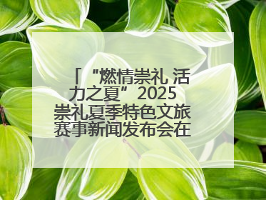 “燃情崇礼 活力之夏”2025崇礼夏季特色文旅赛事新闻发布会在张举行