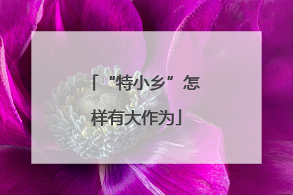 “特小乡”怎样有大作为