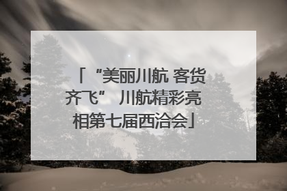 “美丽川航 客货齐飞” 川航精彩亮相第七届西洽会