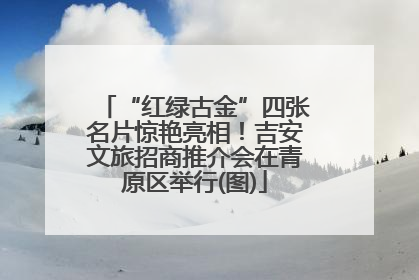 “红绿古金”四张名片惊艳亮相！吉安文旅招商推介会在青原区举行(图)