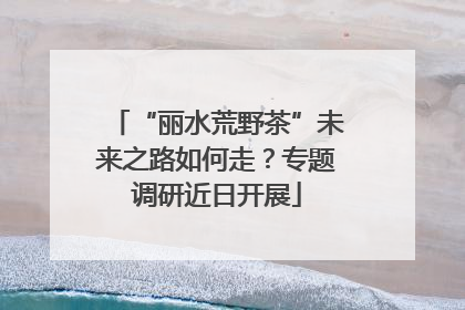 “丽水荒野茶”未来之路如何走？专题调研近日开展