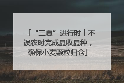 “三夏”进行时丨不误农时完成夏收夏种，确保小麦颗粒归仓