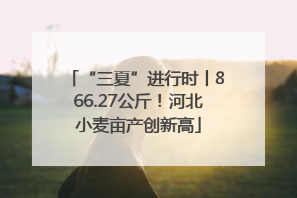 “三夏”进行时丨866.27公斤！河北小麦亩产创新高