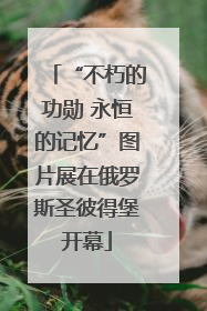 “不朽的功勋 永恒的记忆”图片展在俄罗斯圣彼得堡开幕