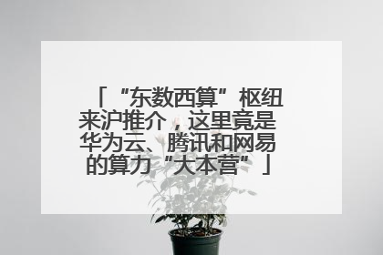 “东数西算”枢纽来沪推介，这里竟是华为云、腾讯和网易的算力“大本营”