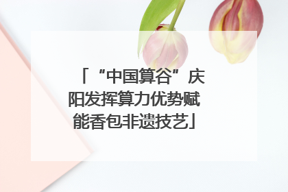 “中国算谷”庆阳发挥算力优势赋能香包非遗技艺