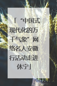 “中国式现代化的万千气象”网络名人安徽行活动走进休宁