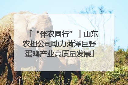 “伴农同行”｜山东农担公司助力菏泽巨野蛋鸡产业高质量发展