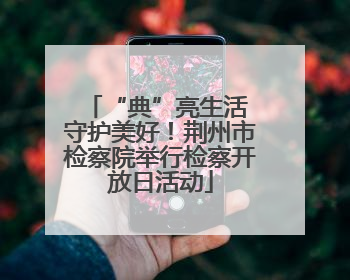 “典”亮生活 守护美好！荆州市检察院举行检察开放日活动