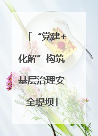 “党建+化解”构筑基层治理安全堤坝