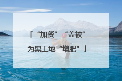 “加餐”“盖被” 为黑土地“增肥”