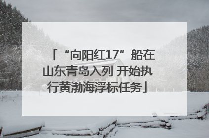 “向阳红17”船在山东青岛入列 开始执行黄渤海浮标任务