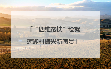 “四维帮扶”绘就莲湖村振兴新图景