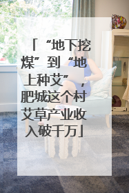 “地下挖煤”到“地上种艾”，肥城这个村艾草产业收入破千万