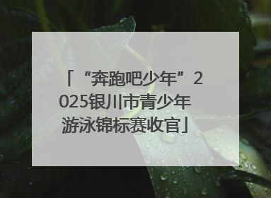 “奔跑吧少年”2025银川市青少年游泳锦标赛收官