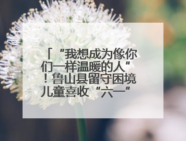 “我想成为像你们一样温暖的人”！鲁山县留守困境儿童喜收“六一”暖心礼