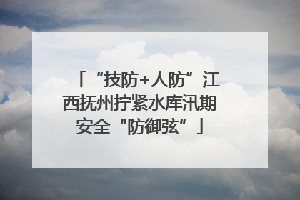 “技防+人防”江西抚州拧紧水库汛期安全“防御弦”
