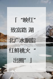 “映红”致富路 湖北广水胭脂红鲜桃火“出圈”