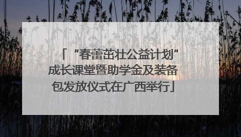 “春蕾茁壮公益计划”成长课堂暨助学金及装备包发放仪式在广西举行