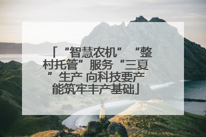“智慧农机”“整村托管”服务“三夏”生产 向科技要产能筑牢丰产基础