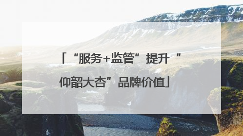 “服务+监管”提升“仰韶大杏”品牌价值