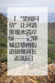 “望闻问切”让河道重现水清岸绿——记郓城县郓州街道镇级河长孟泓辰