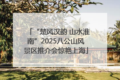 “楚风汉韵 山水淮南”2025八公山风景区推介会惊艳上海