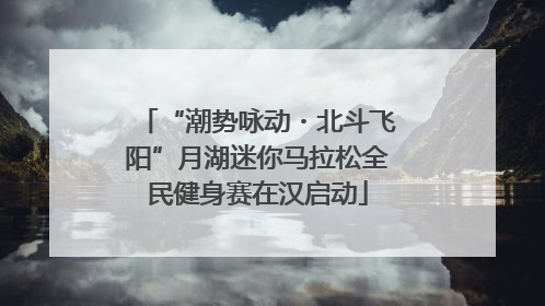 “潮势咏动・北斗飞阳”月湖迷你马拉松全民健身赛在汉启动