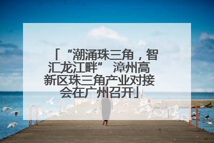 “潮涌珠三角，智汇龙江畔” 漳州高新区珠三角产业对接会在广州召开