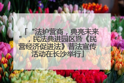 “法护营商，典亮未来”，民法典进园区暨《民营经济促进法》普法宣传活动在长沙举行