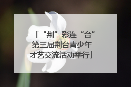 “荆”彩连“台” 第三届荆台青少年才艺交流活动举行