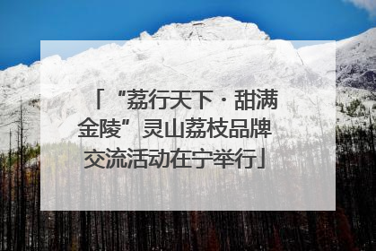 “荔行天下・甜满金陵”灵山荔枝品牌交流活动在宁举行