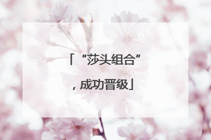 “莎头组合”，成功晋级