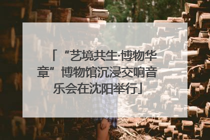 “艺境共生·博物华章”博物馆沉浸交响音乐会在沈阳举行