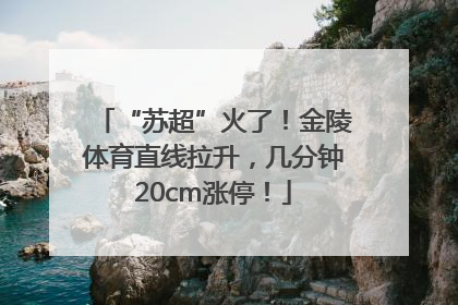“苏超”火了！金陵体育直线拉升，几分钟20cm涨停！