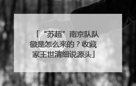 “苏超”南京队队徽是怎么来的？收藏家王世清细说源头