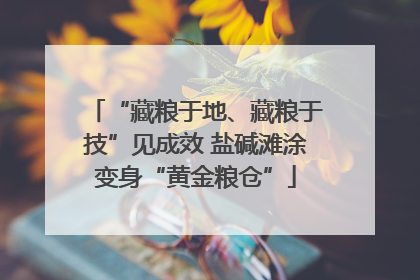 “藏粮于地、藏粮于技”见成效 盐碱滩涂变身“黄金粮仓”