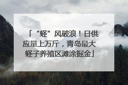 “蛏”风破浪！日供应量上万斤，青岛最大蛏子养殖区滩涂掘金