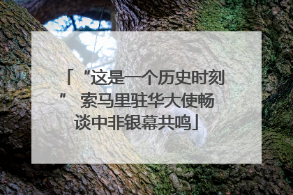 “这是一个历史时刻” 索马里驻华大使畅谈中非银幕共鸣