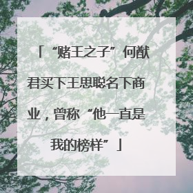 “赌王之子”何猷君买下王思聪名下商业，曾称“他一直是我的榜样”