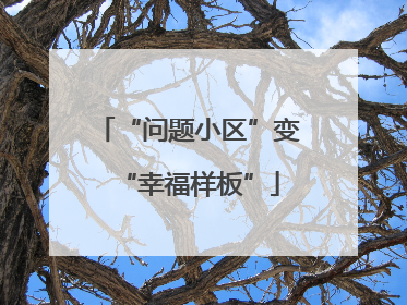 “问题小区”变“幸福样板”