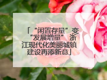 “闲置存量”变“发展增量” 浙江现代化美丽城镇建设再添新意